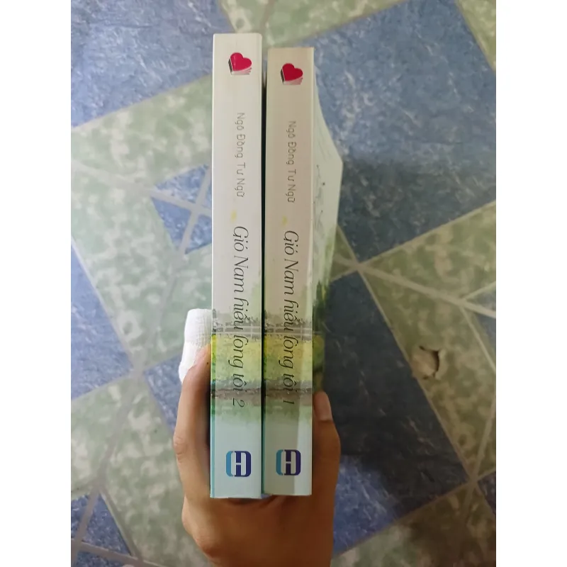 Gió Nam hiểu lòng tôi ( 2 tập) - Ngô Đồng Tư Ngữ 933621