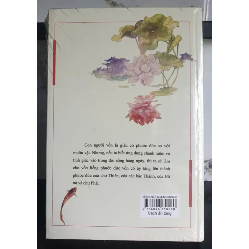 Chuyện Tấm Cám Trong Con Mắt Thiền - Thích Thái Hòa 696883