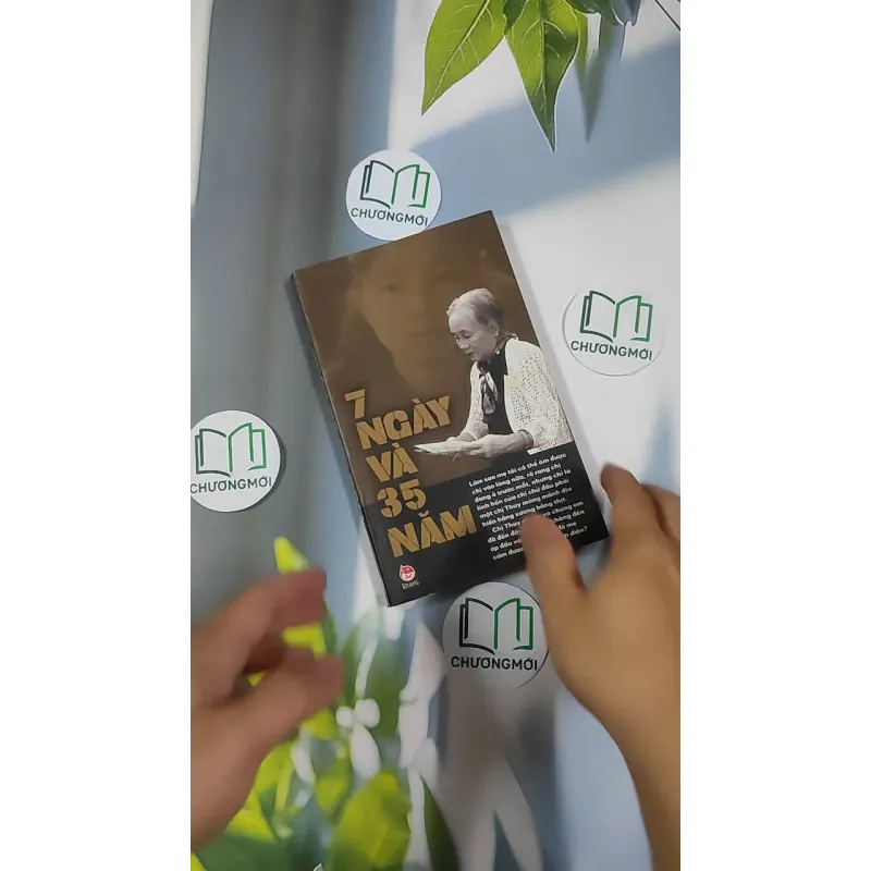 7 ngày và 35 năm 798506