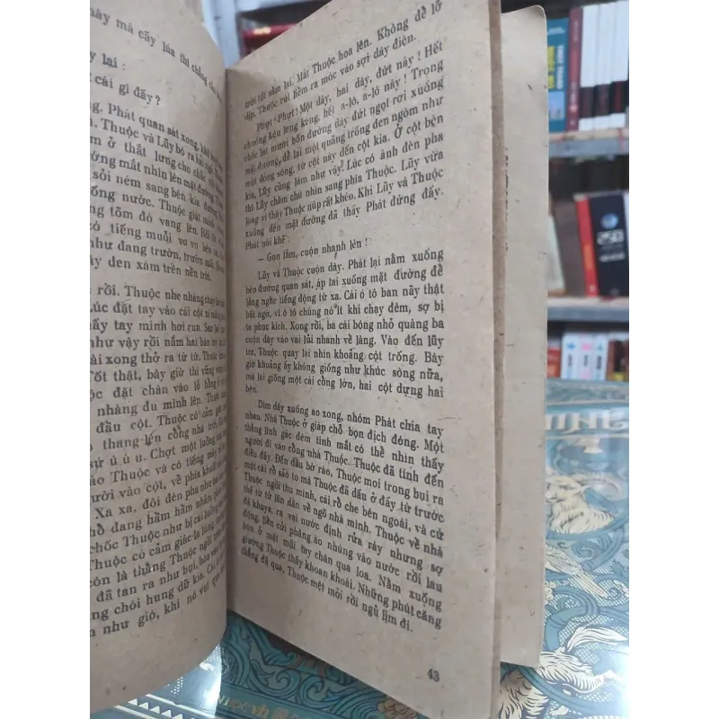 ĐỘI DU KÍCH THIẾU NIÊN - ĐÌNH BẢNG 1002116