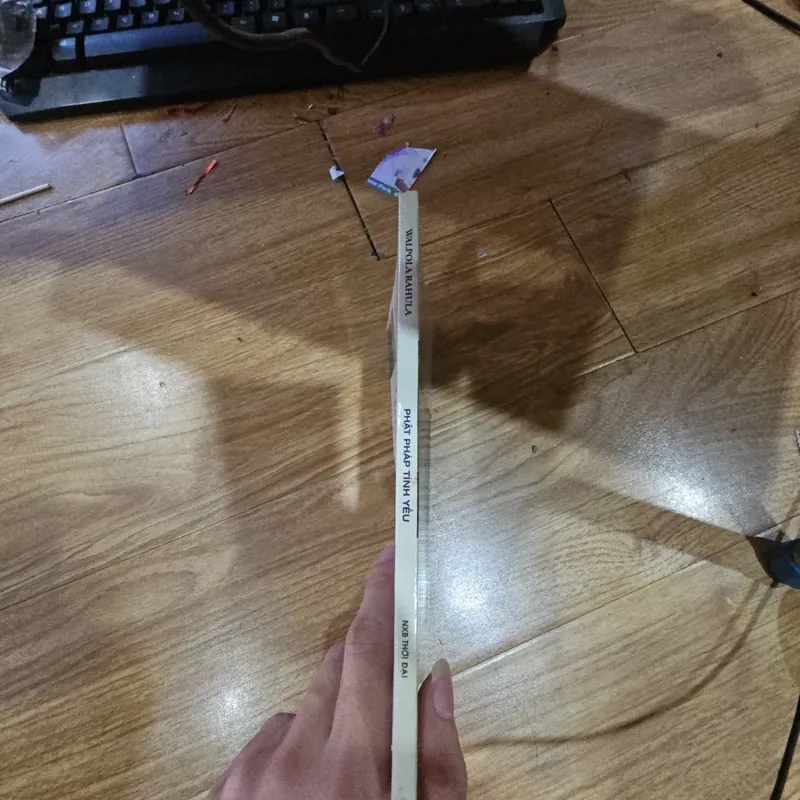 Phật pháp tinh yếu Giá 20k  611604