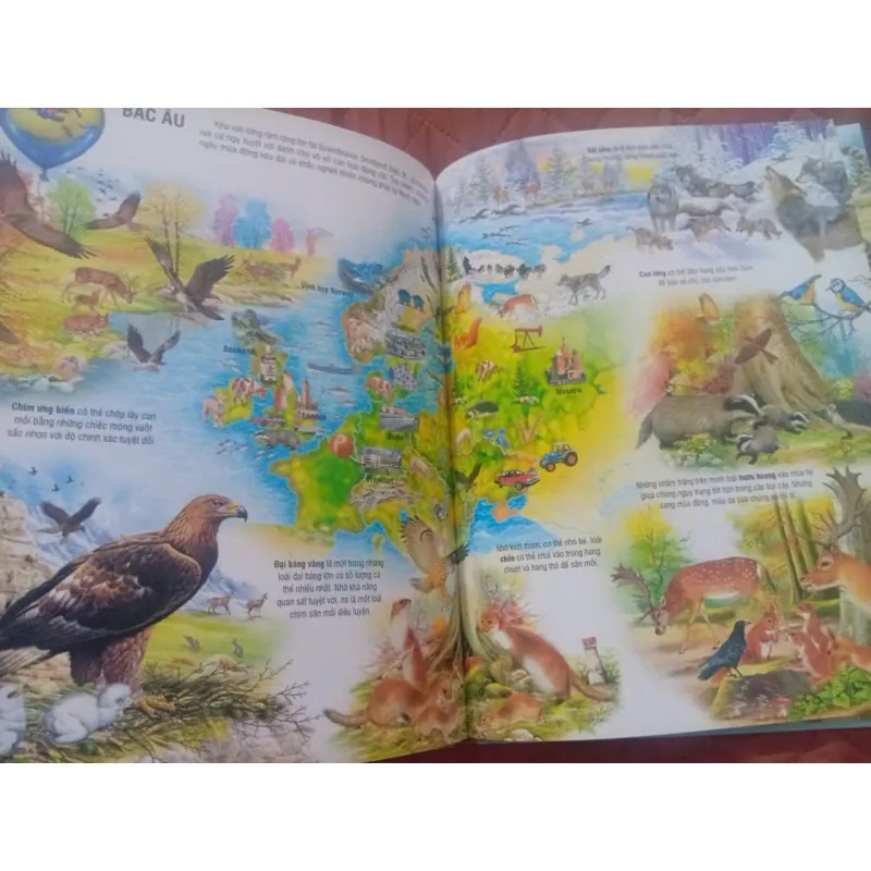 Atlas Môi Trường Sống Của Các Loài Động Vật 1009866