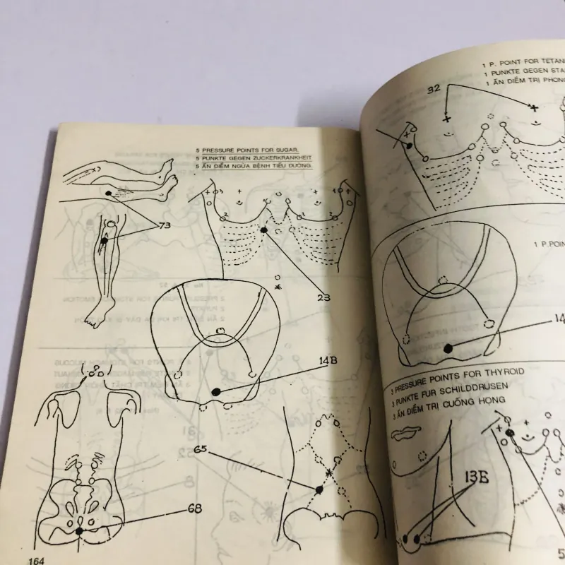 BẤM HUYỆT CÁCH CHỮA VÀ SỰ ÍCH LỢI 780381