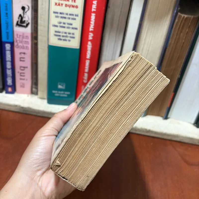 Sách Tôn Giáo: Cám Dỗ Cuối Cùng Của Chúa - NIKOS KAZANTZAKIS - Bích Phượng (Dịch) - 1988 778733