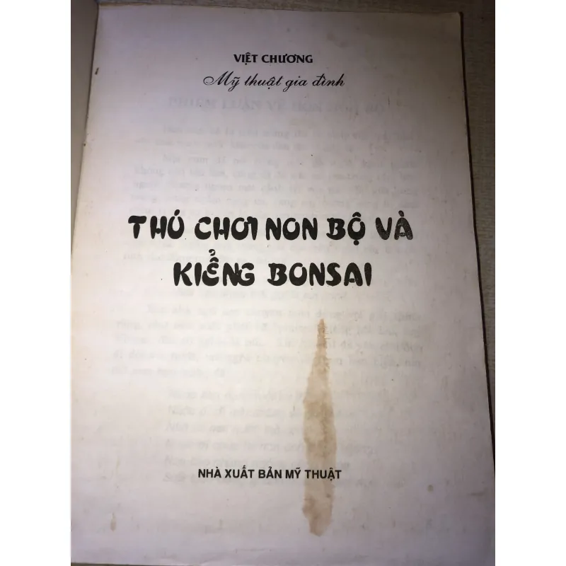 Thú chơi non bộ và kiểng bonsai 970620