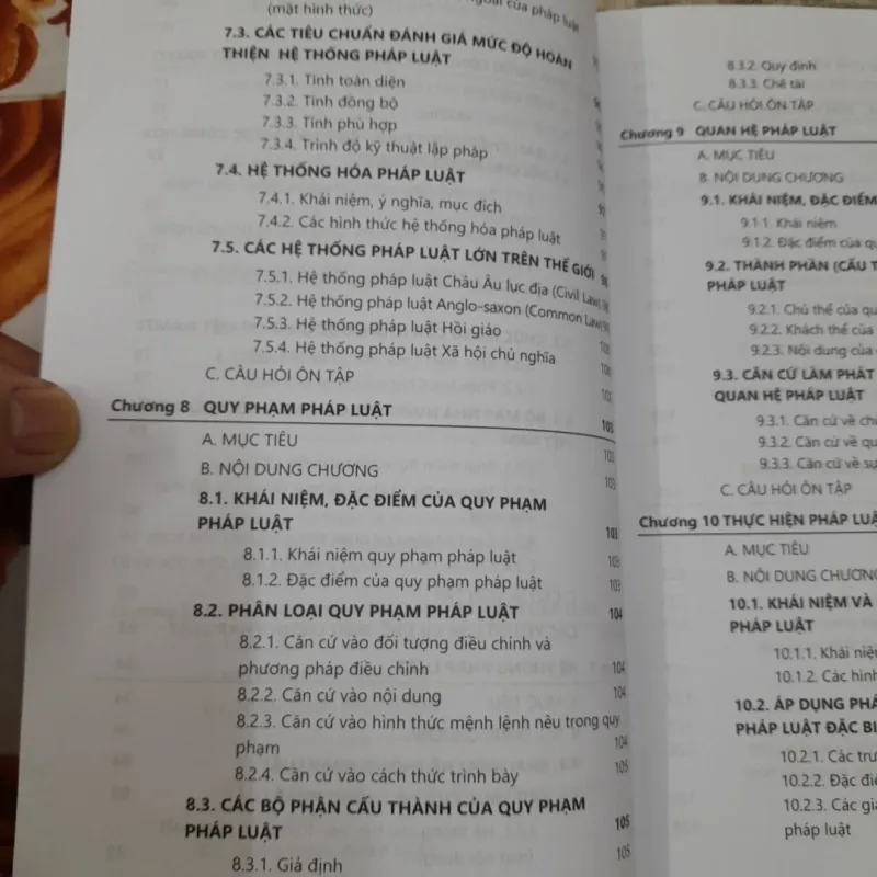 Giáo trình Pháp Luật và Lý luận Nhà Nước- GV Trần T. Mai Phước - Đh Mở HCM 762249