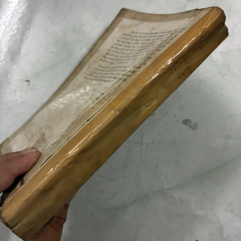 Người đàn ông có vợ 1024700