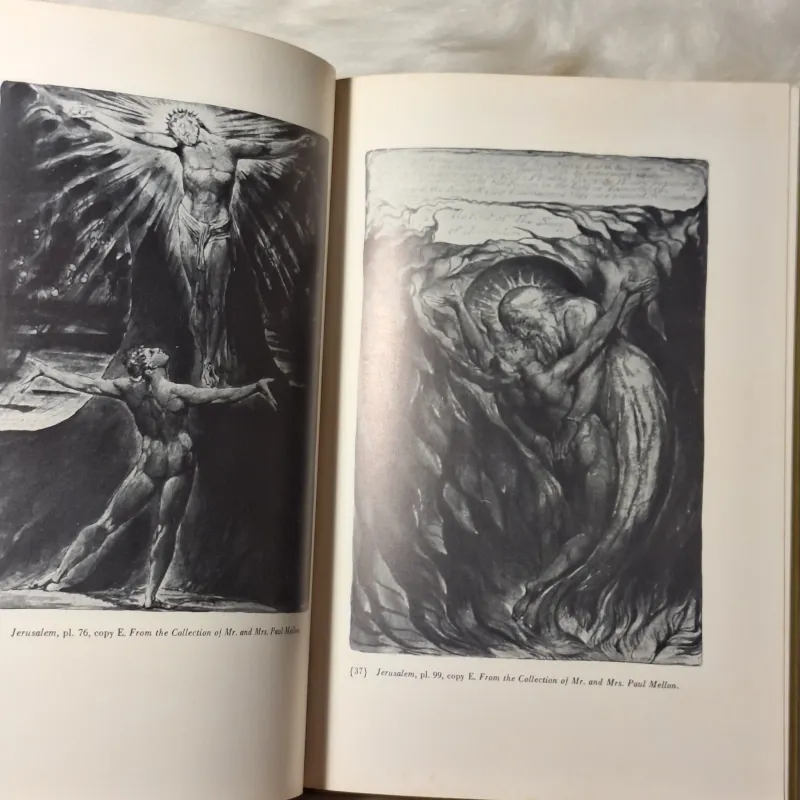 Blake’s Sublime Allegory: Essays on The Four Zoas, Milton, and Jerusalem 783247