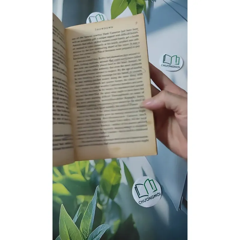 Showdown - Tilly Bagshawe 1027176