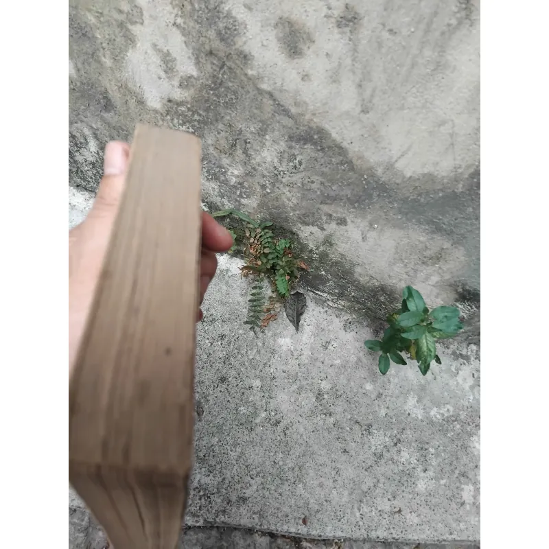 Thơ văn Nguyễn Bỉnh Khiêm  1022819