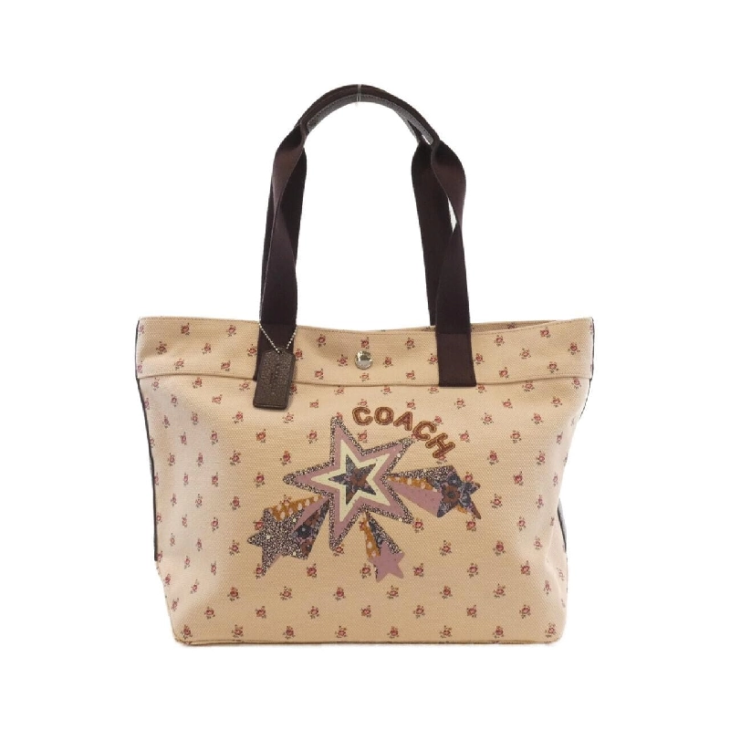 Túi Coach F55598 617832