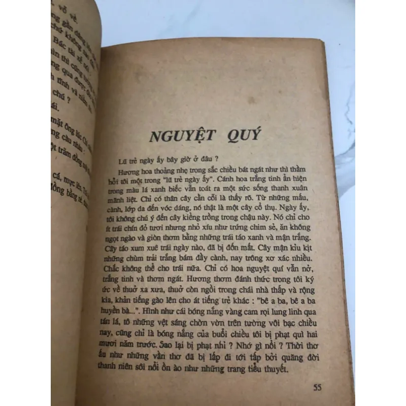 Chiêm Bao Thấy Núi – Lý Lan (Nhà xuất bản Trẻ) 998497