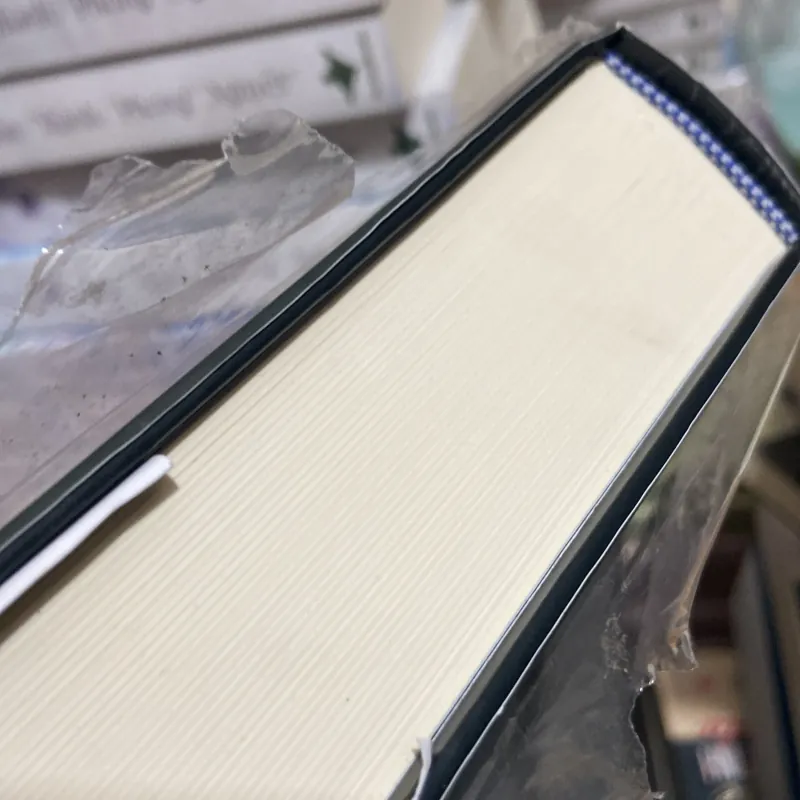 (Văn học kinh điển) - Nhà thờ đức bà Paris - Victor Hugo 1005083