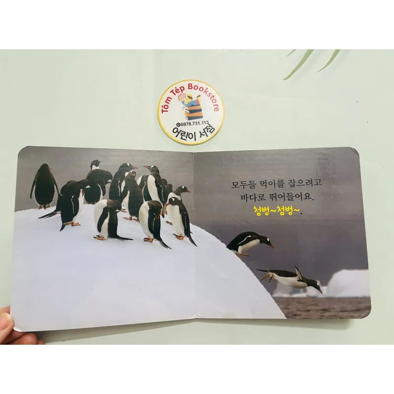 Set boardbook tranh ảnh động vật, thực vật chó bé B30 l 1043706