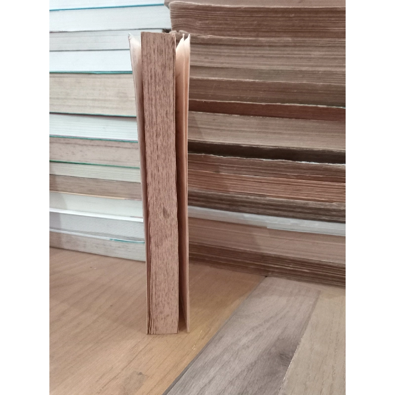 The Professor - Charlotte Bronte 277151