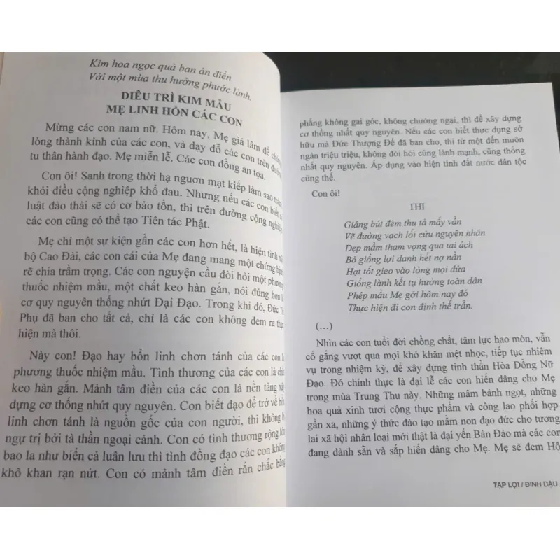 Đại Đạo Văn Uyển 737666