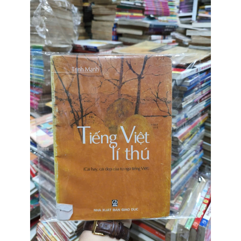 Tiếng Việt lí thú 540605