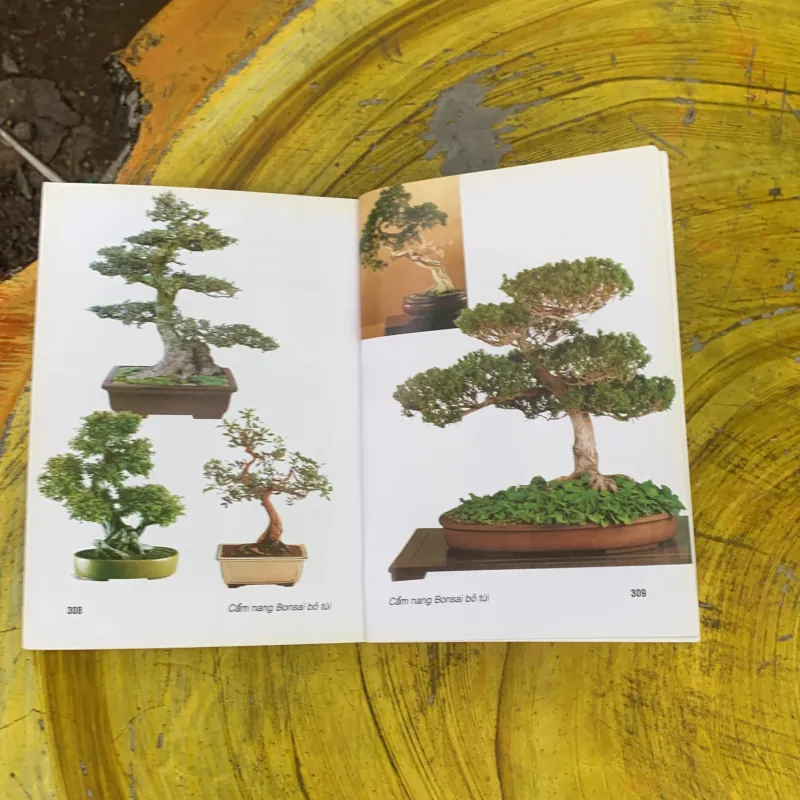 CẨM NANG BONSAI BỎ TÚI - DAVID PRESCOTT & COLIN LEWIS 759679