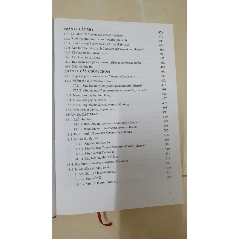 CÔN TRÙNG NHỆN GÂY HẠI CÂY ĂN TRÁI....  799628