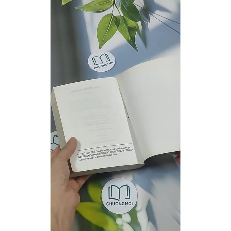 Con rể tỉnh trưởng - Phương Vỹ 695009