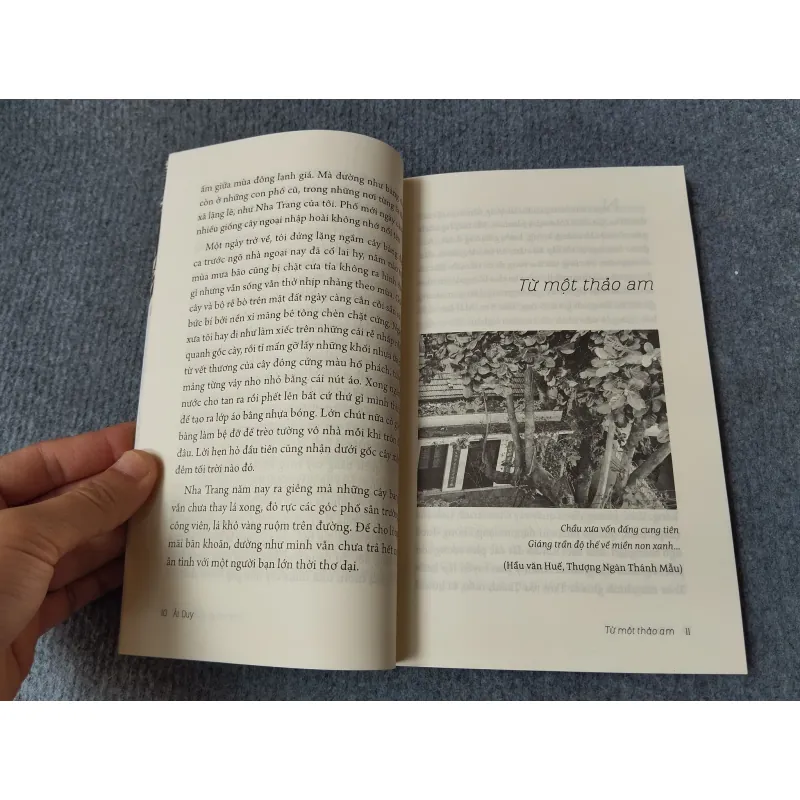 Ở NHA TRANG SÓNG TỰA NHƯ MÂY 727134