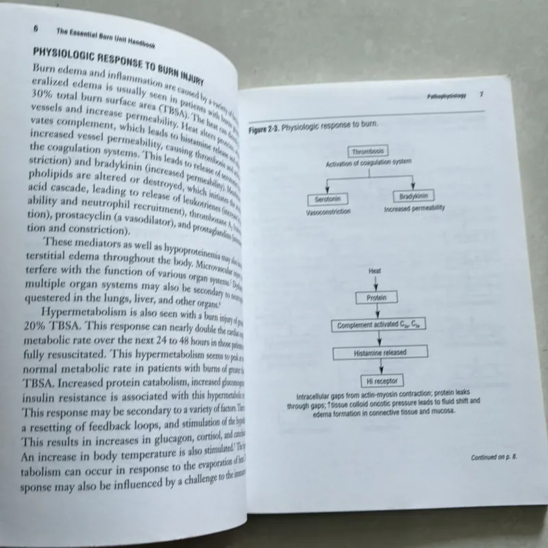 The Essential Burn Unit Handbook - Jeffrey J.Roth  687543