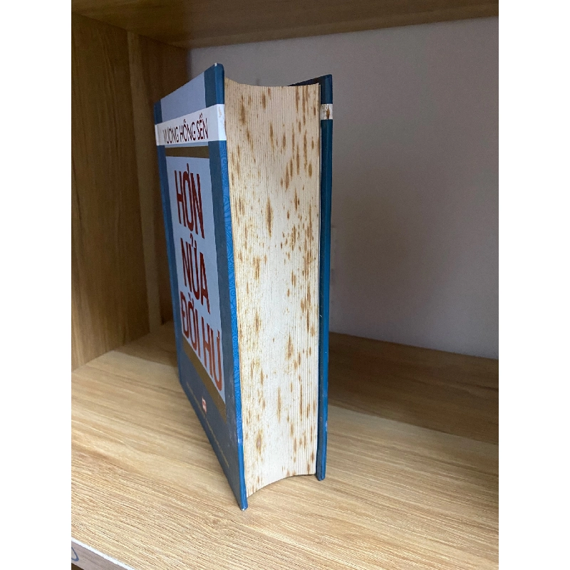 Hơn nửa đời hư (bìa cứng)- Vương Hồng Sển- sách lưu kho chưa qua sd,giấy xốp có ố 789636