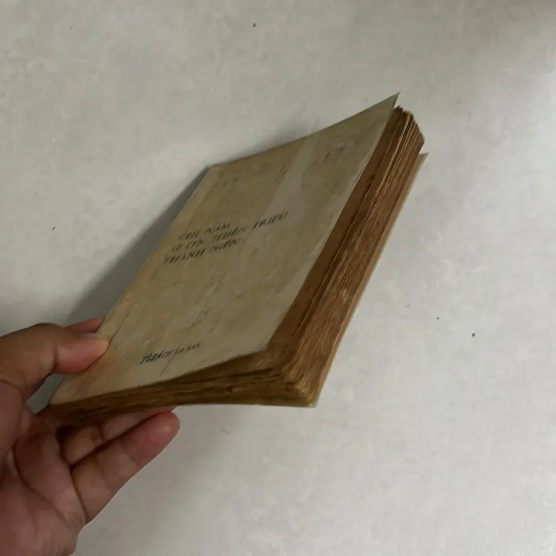 Chỉ nam về ơn thiên triệu - 1970s 569471
