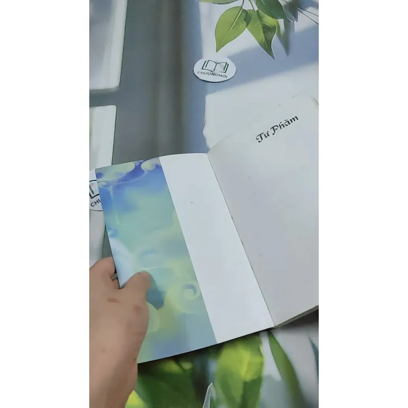 Tư Phàm - Công Tử Hoan Hỉ 744703