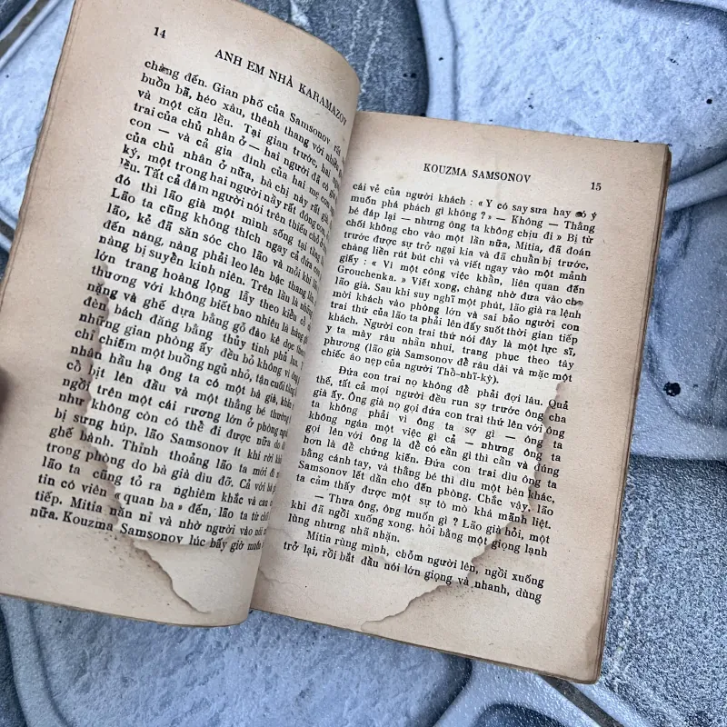 Anh em nhà karamazov - Trương Đình Cử (1972) 752773