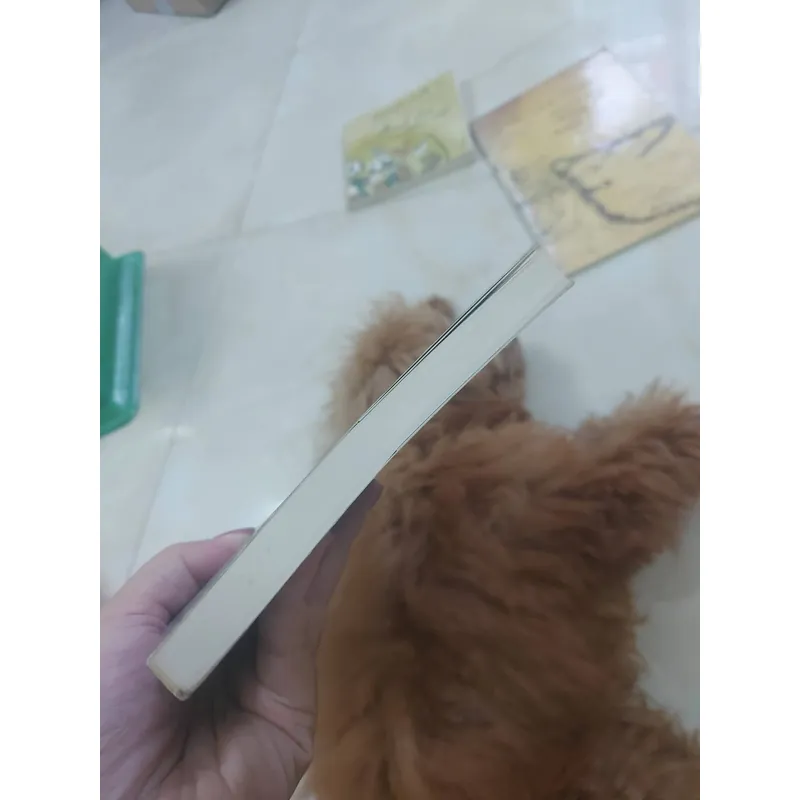 Gió lạnh đầu mùa hcm 1068302