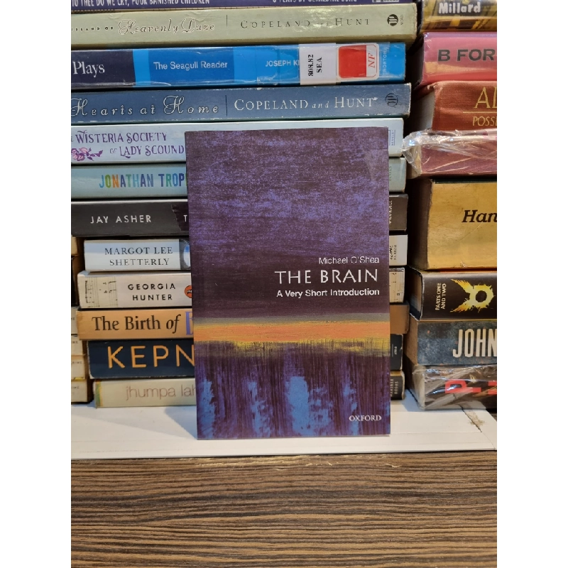 THE BRAIN : A Very Short Introduction - Michael O'Shea 169013