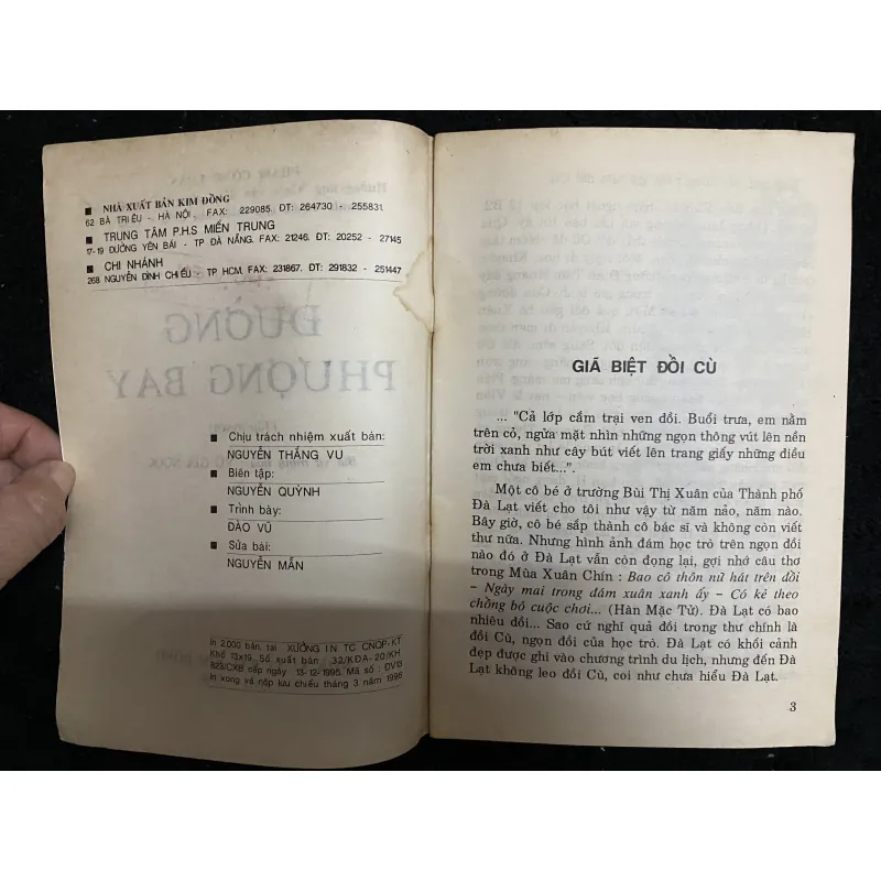 Đường Phượng Bay 997012