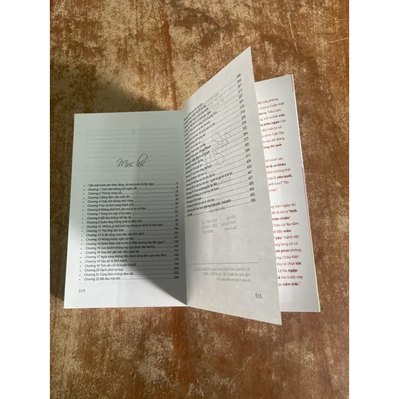 KHÔNG THỂ YÊU- GIANG VŨ HẠM 728648