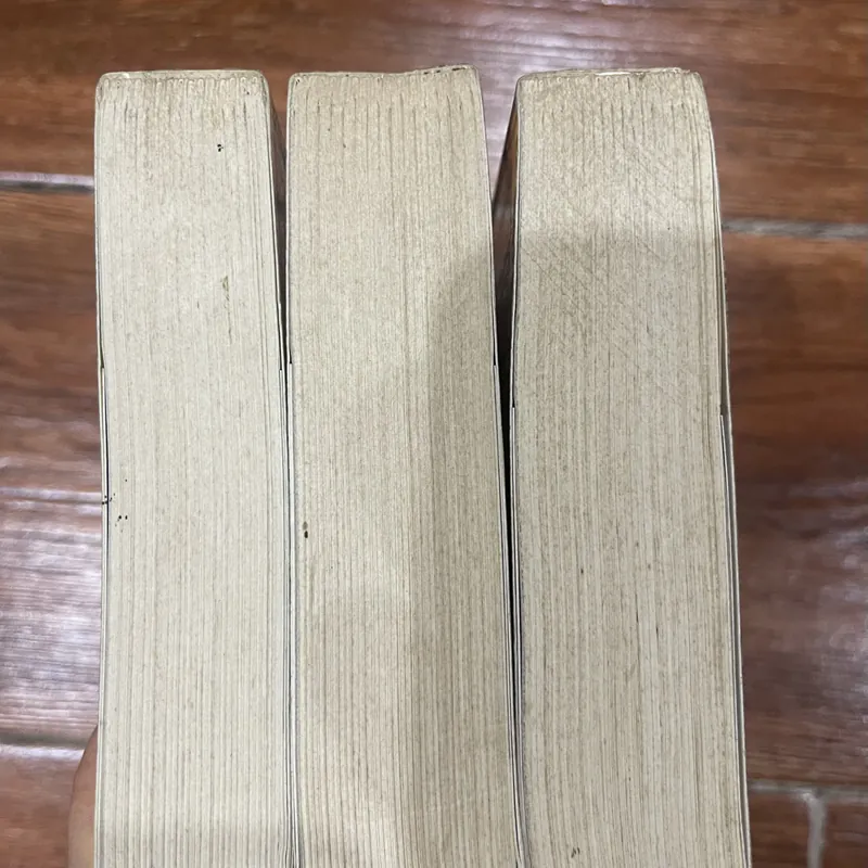 Pháp Thuật - Kinh Công - Y Thuật  Septimus Heap - Angie Sage - 3 tập (4) 596449