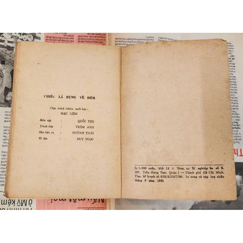 Tiểu thuyết CHIẾC LÁ RỤNG VỀ ĐÊM (301 trang) - Tác giả: Sơn Linh 993427