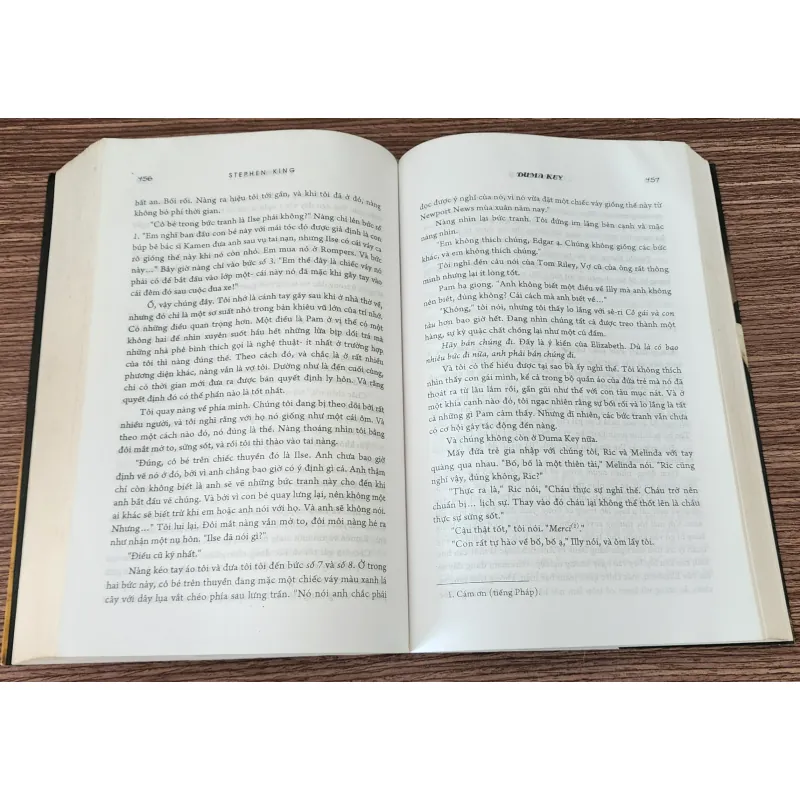 Tiểu thuyết kinh dị DUMA KEY (nhà văn Stephen King) 1025001