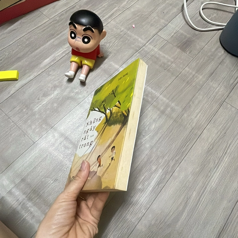 Những ngày rất trong  333171