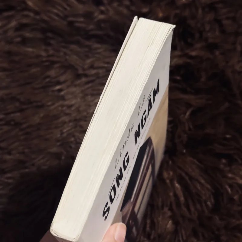 Sóng ngầm - Linda Lê 756775