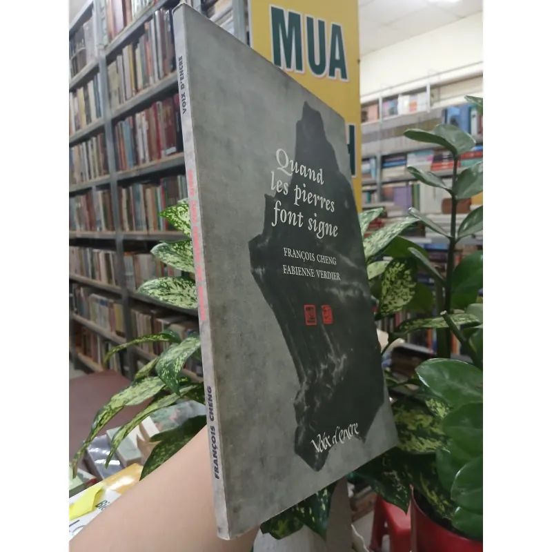 QUAND LES PIERRES FONT SIGNE (KHI ĐÁ BÁO HIỆU) -  FRANÇOIS CHENG, FABIENNE VERDIER 752672