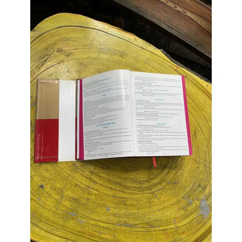 TỪ ĐIỂN ANH - VIỆT - VIỆT ANH- BAN BIÊN SOẠN CHUYÊN TỪ ĐIỂN NEW ERA 603684