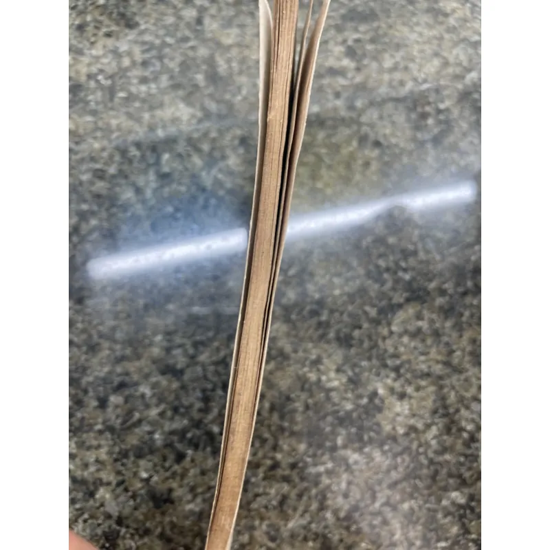 Người đi khai khoang Minh Hương XB 1983 760402