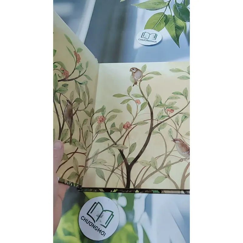 [Tặng nẹp góc] Truyện thiếu nhi Hàn Quốc: Moyamo Anu 37 -  모야모 아누와: 다정한 오누이 732034