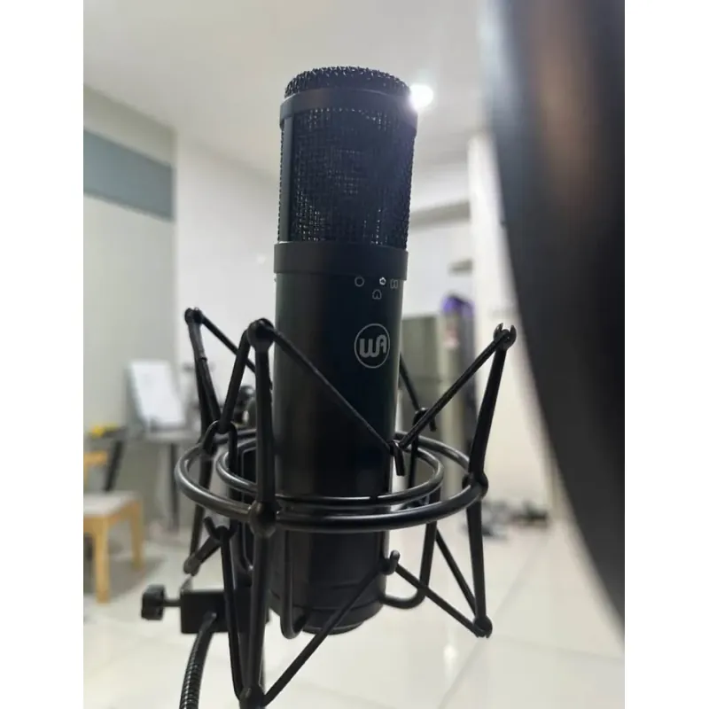 WA Microphone Jr 799597