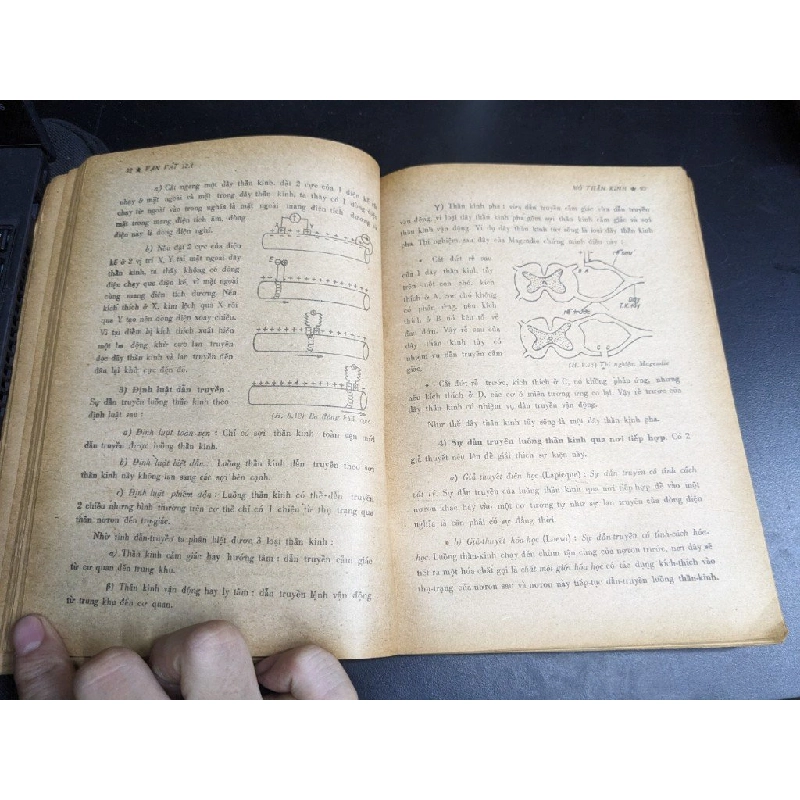 Vạn Vật giáo khoa trắc nghiệm 12A - Nhóm Khoa Học Thiên Nhiên 396027