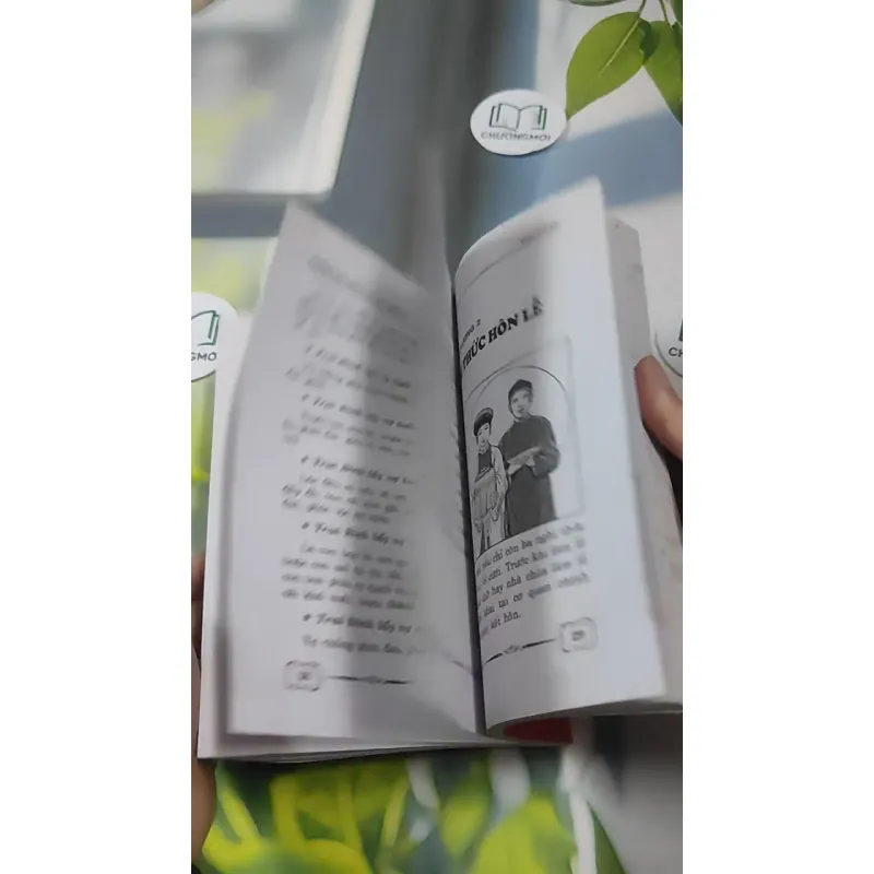 Phong Tục Dựng Vợ Gả Chồng - Như Hùng 727386