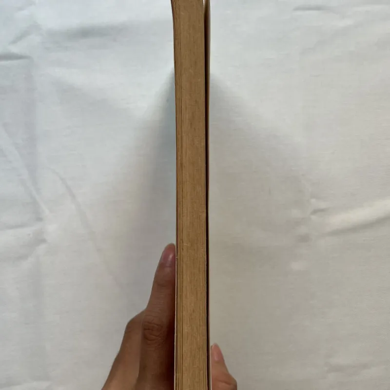 The House on Mango Street - Sandra Cisneros 789444