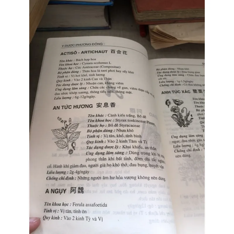 Đông dược thực hành 1001030