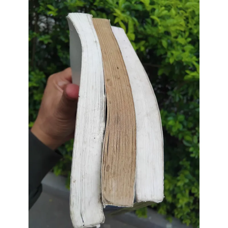 Ngữ văn Hán Nôm do Đặng Đức Siêu chủ biên 970756