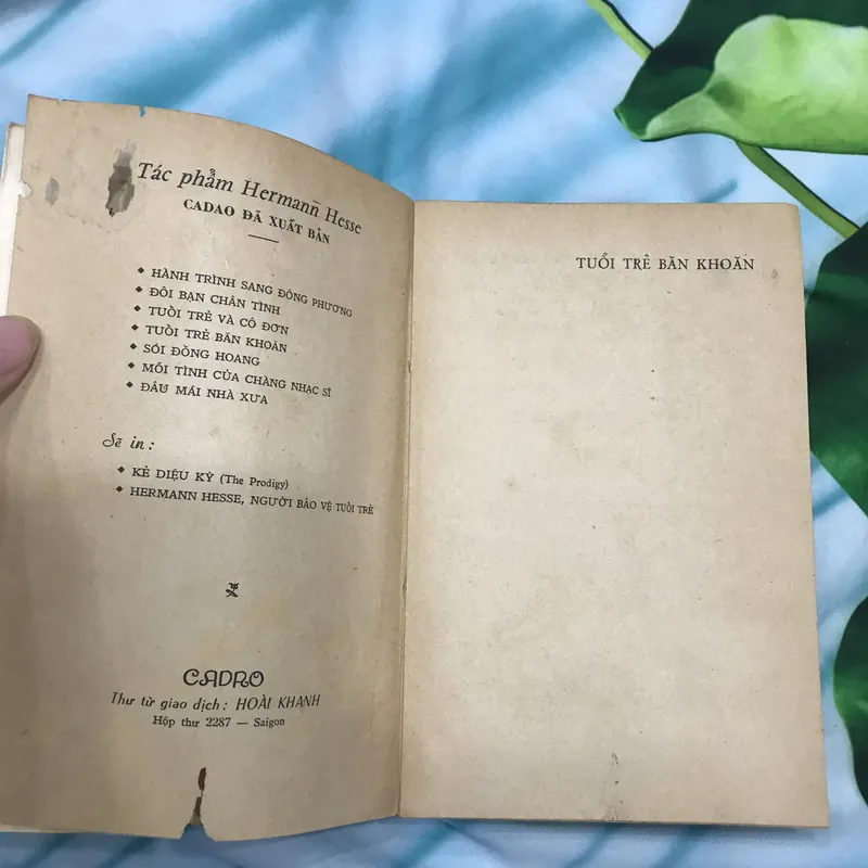 Tuổi trẻ băn khoăn - Hermann Hesse 591302